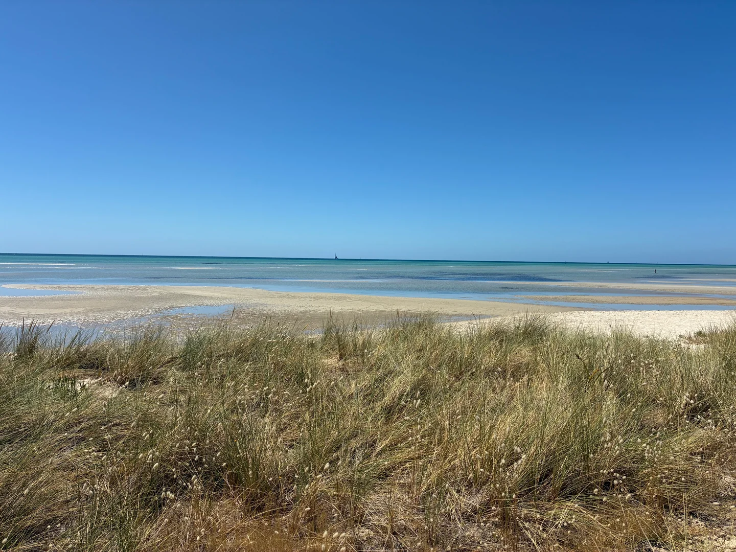 Additional image 6 of 46 Boatshed, Capel Sound VIC 3940