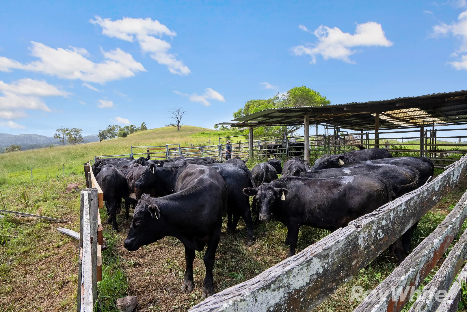 Additional image 13 of 345 Markwell Back Road, Bulahdelah NSW 2423