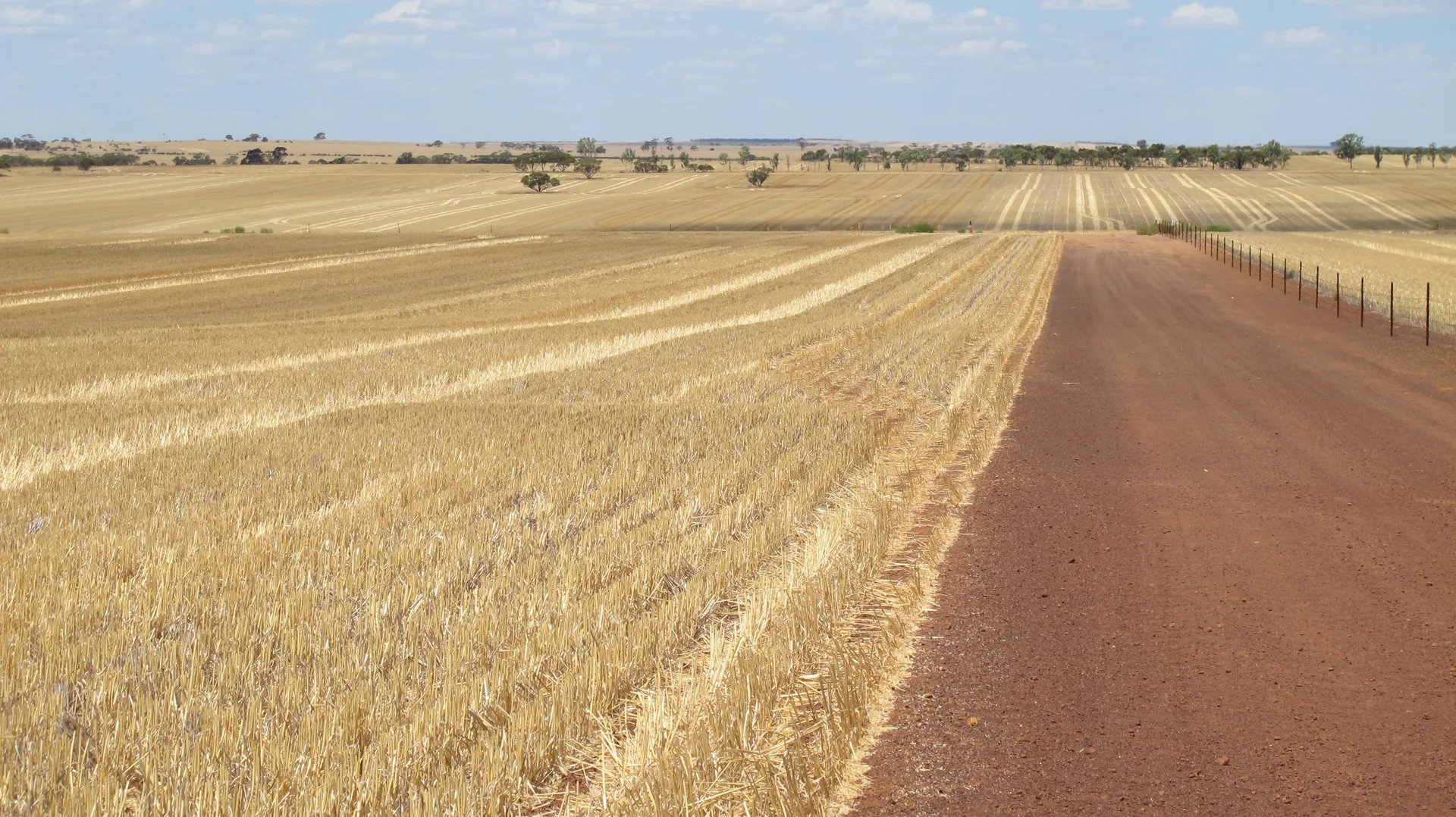 Additional image 2 of Glen Waddi, Waddy Forest, Coorow WA 6515