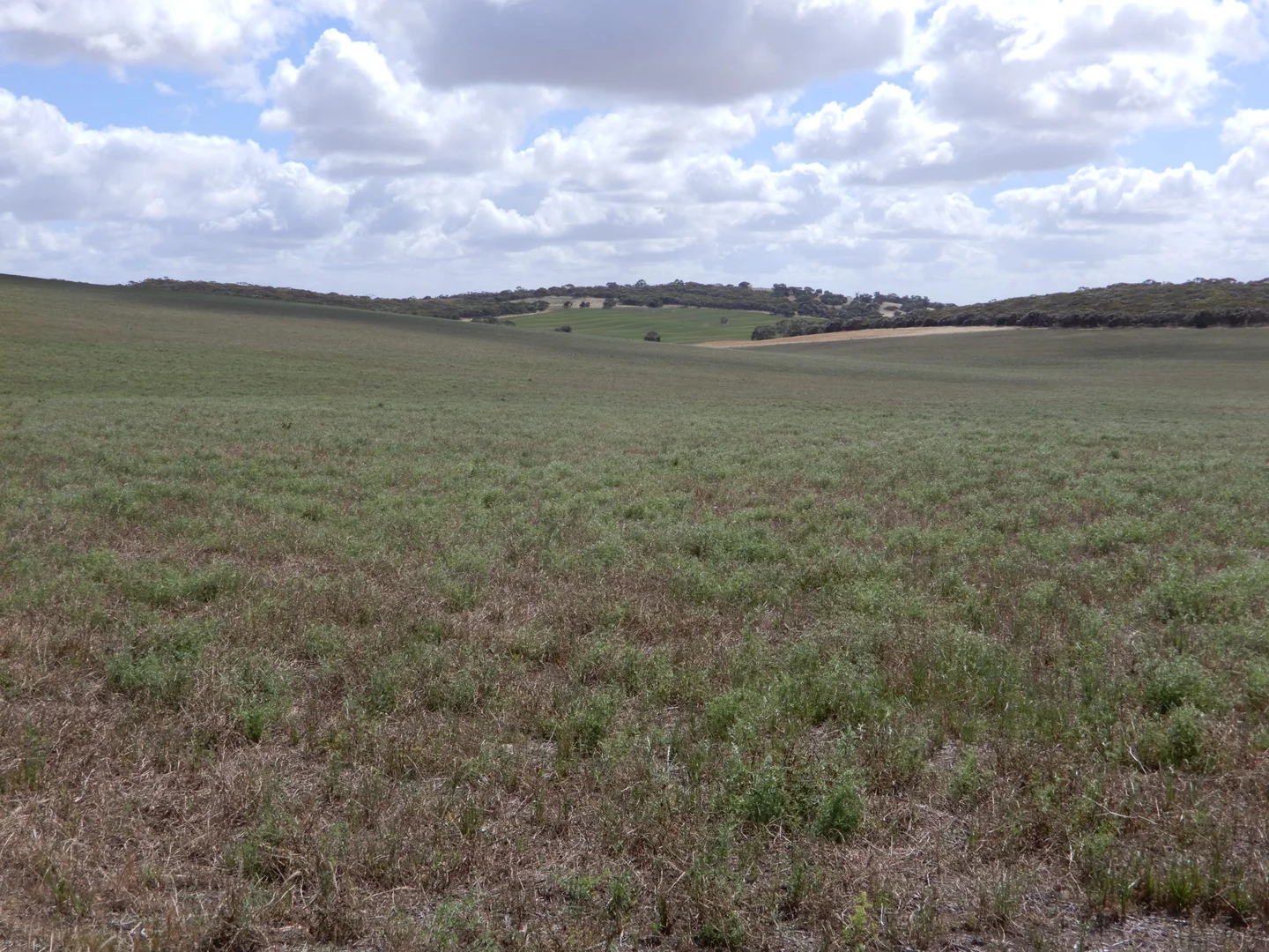 Additional image 17 of 33 Lutze Road, Coonalpyn SA 5265