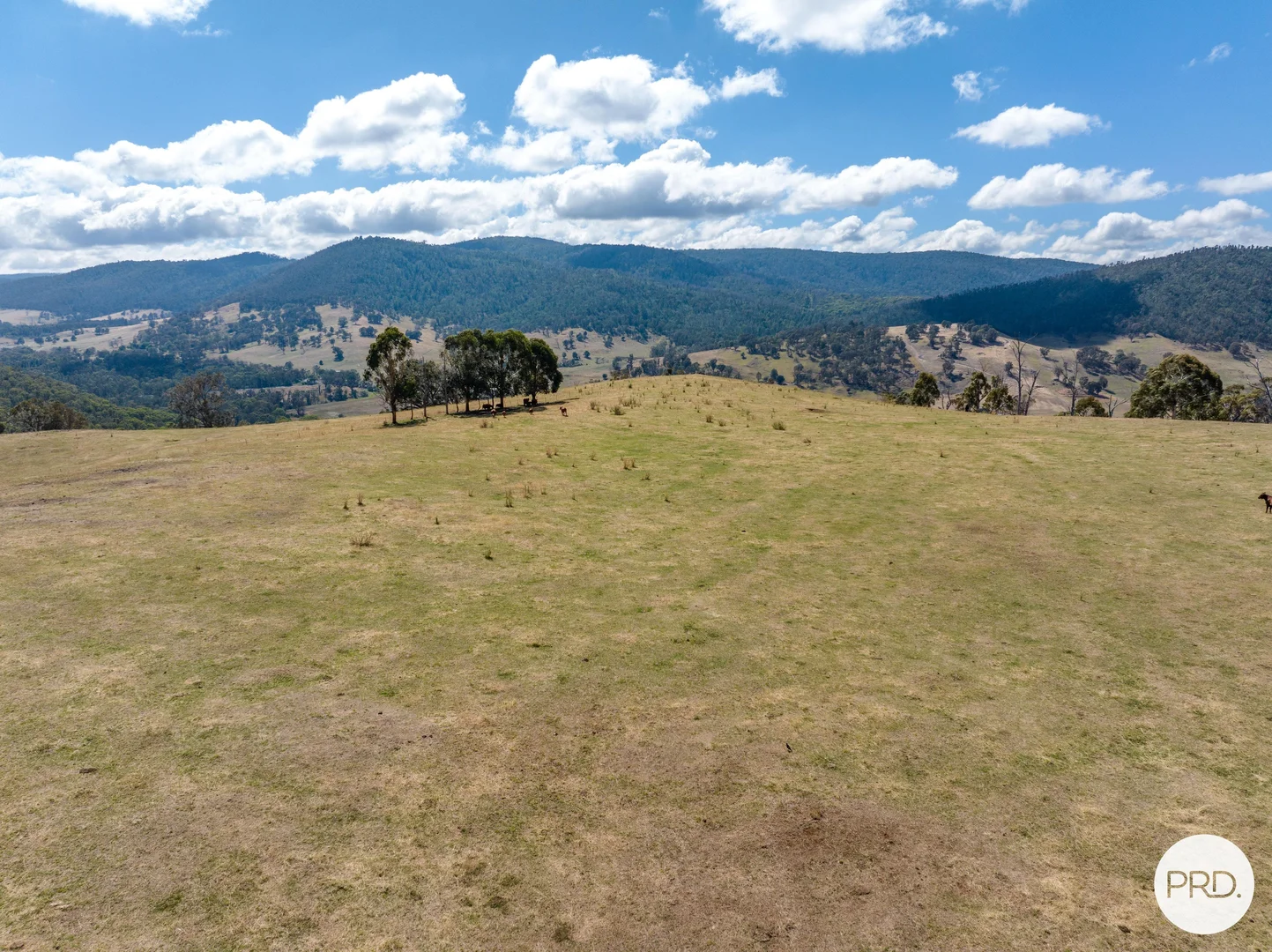 Additional image 29 of 1100 Batlow Road, Tumbarumba NSW 2653