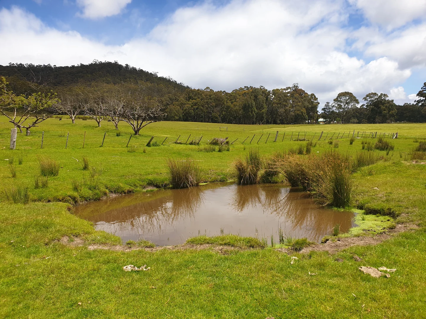 Additional image 7 of 10 Cross Road, Nicholls Rivulet TAS 7112