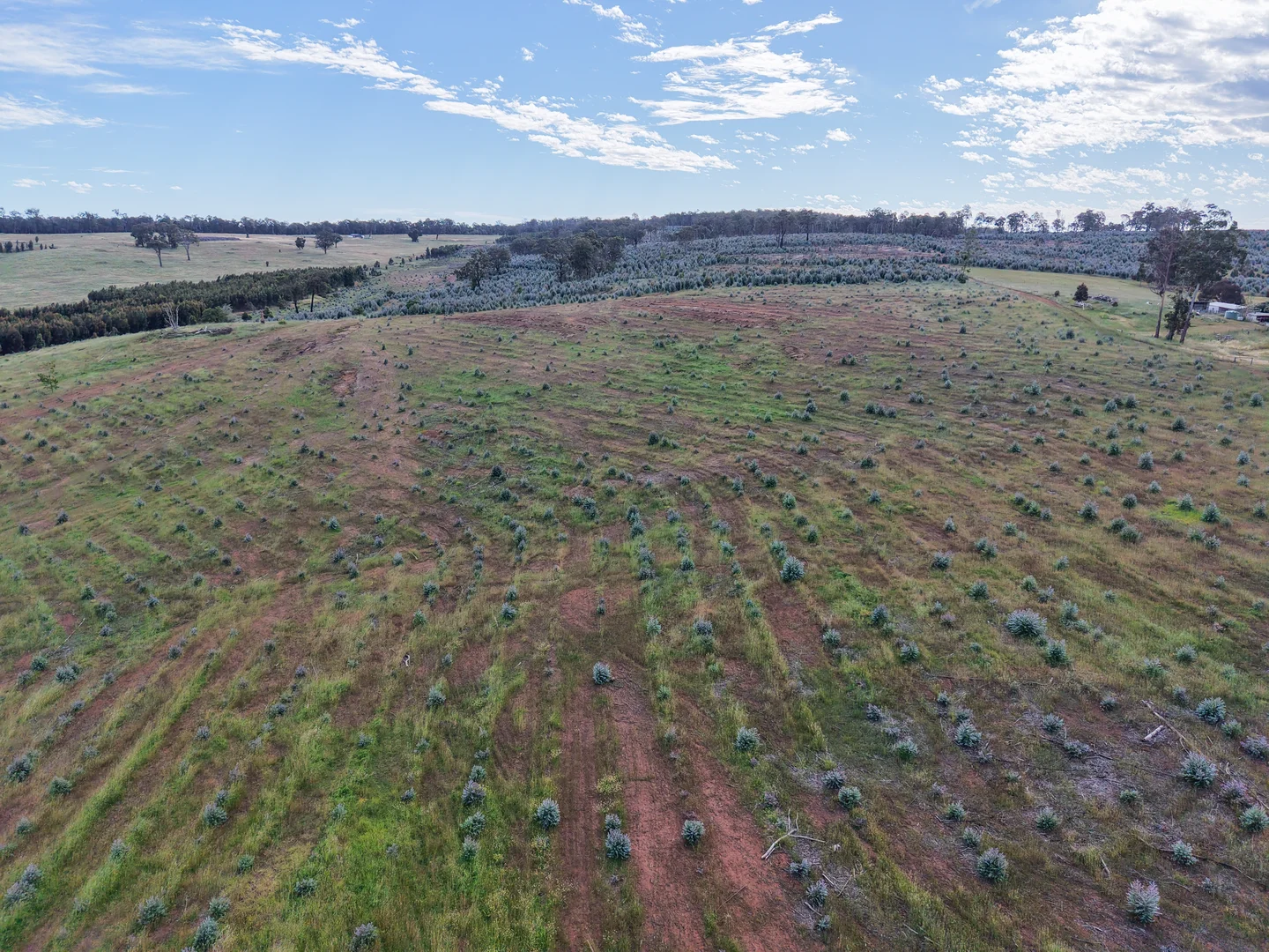 Additional image 20 of Lot 1251 Peninsula Road, Bridgetown WA 6255