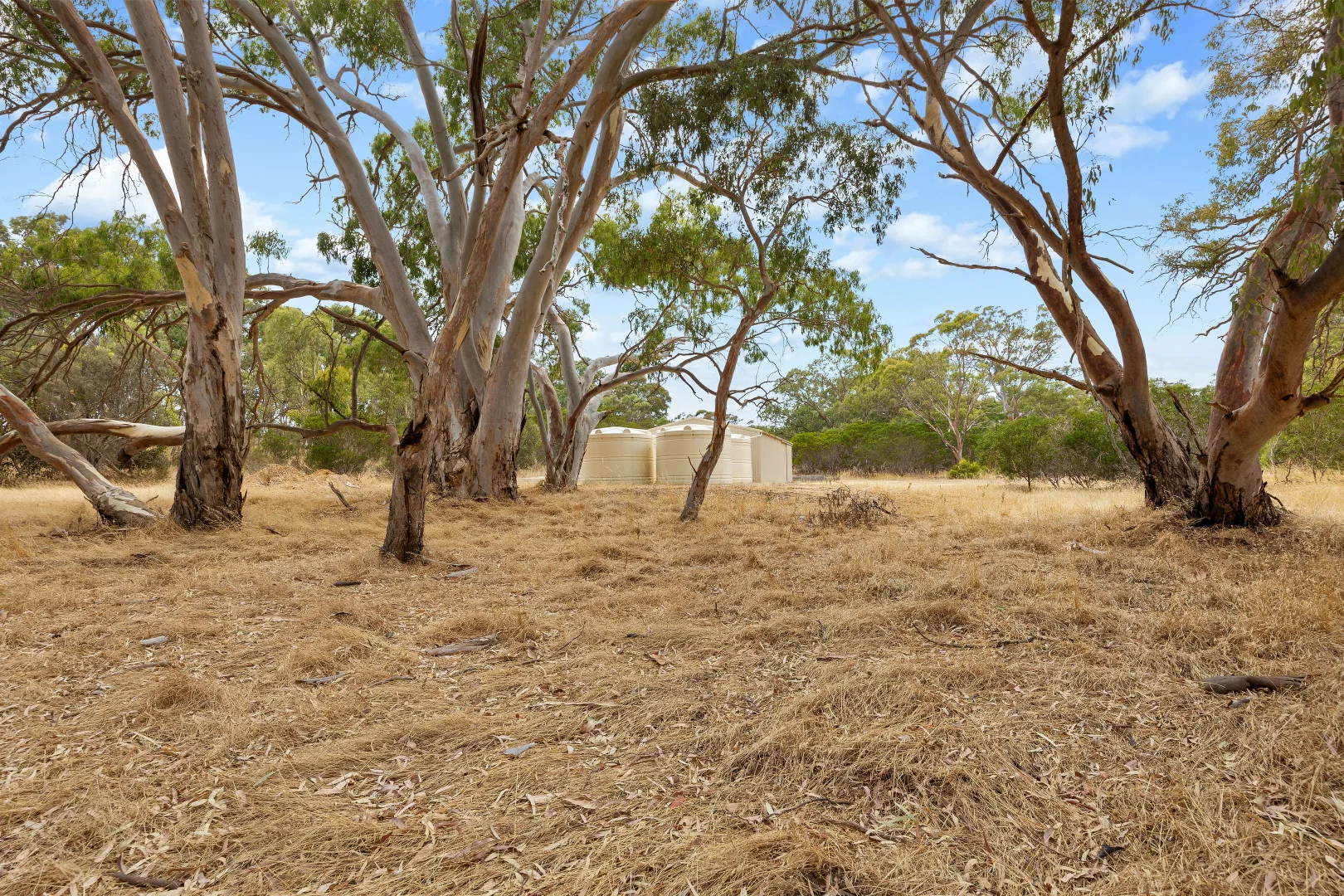Additional image 16 of 112 Red Gum Road, Coulta SA 5607