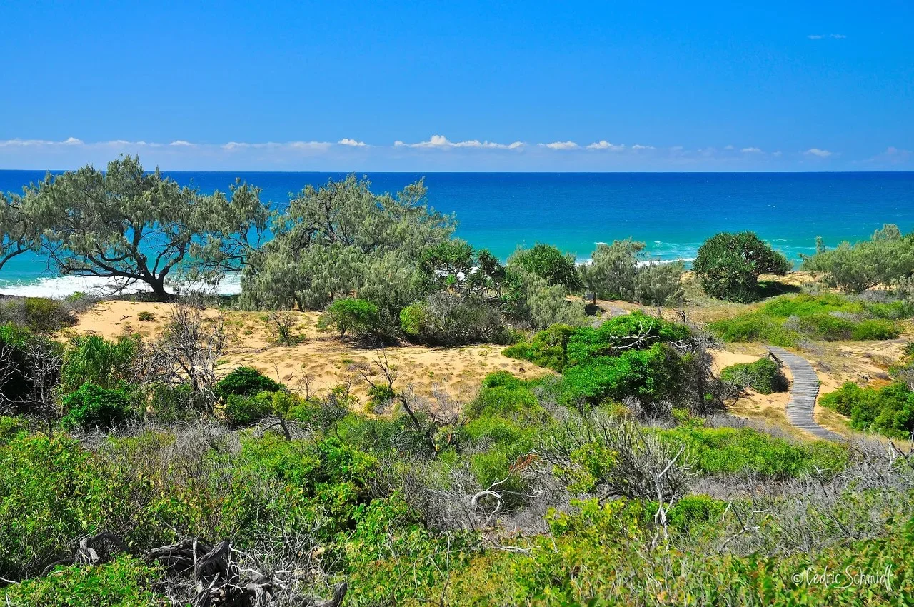 Additional image 3 of 93 Bloodwood Ave Street, Agnes Water QLD 4677