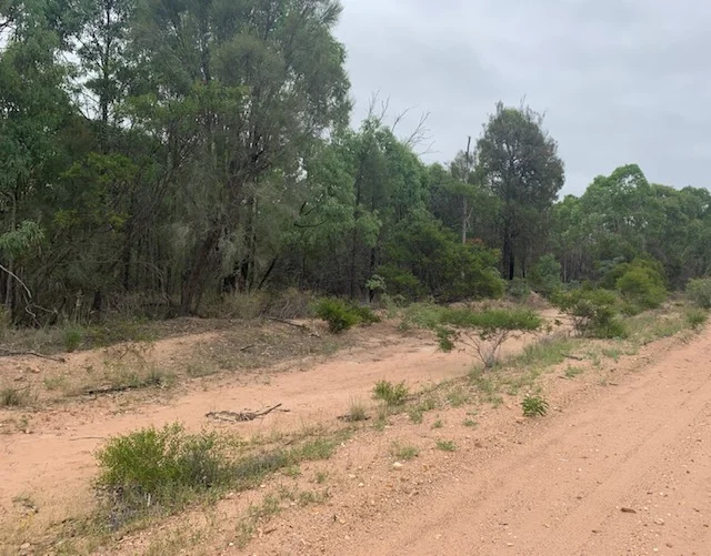 Additional image 4 of L184 Golden Glow Road, Tara QLD 4421