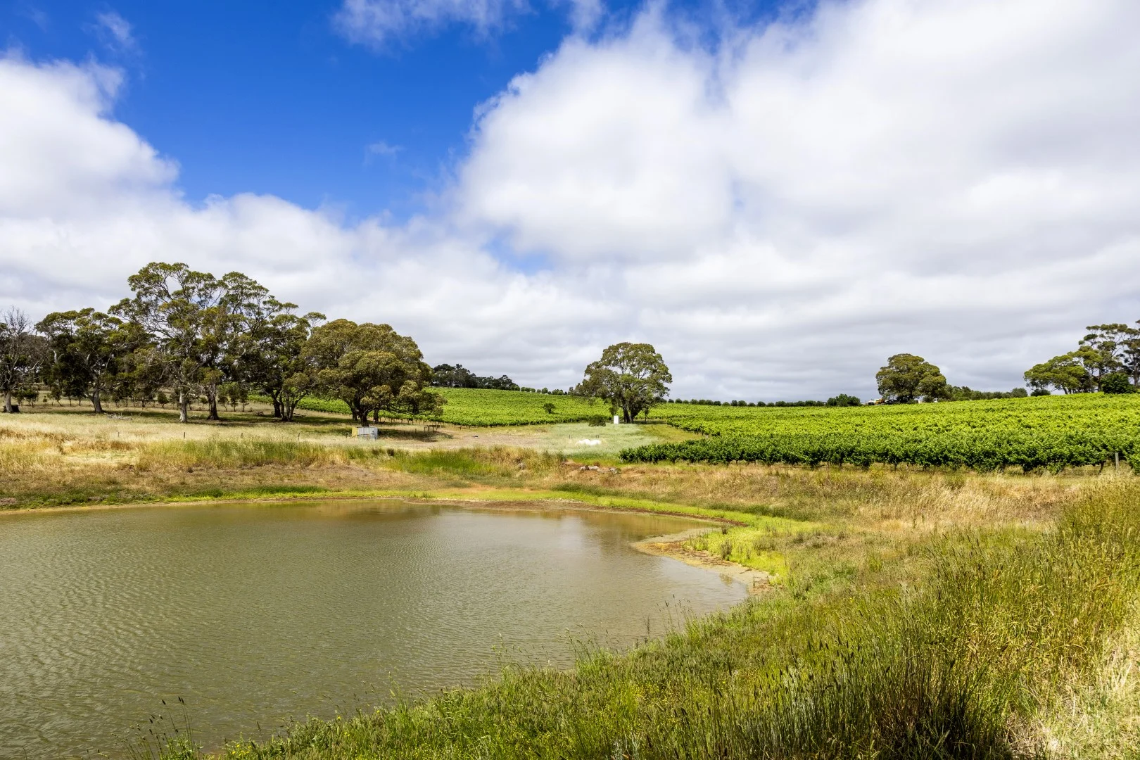 Additional image 8 of 178 Jutland Road, Springton SA 5235