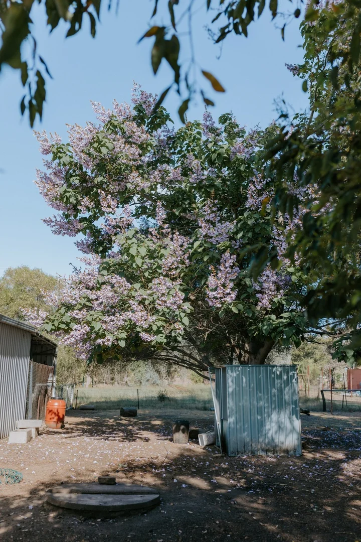 Additional image 19 of Mount Helena WA 6082