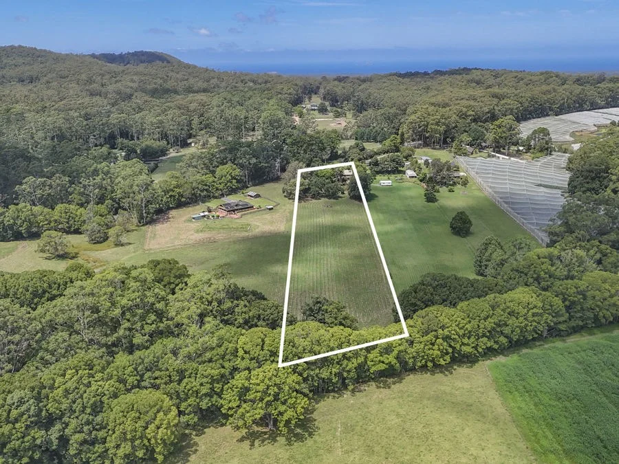 Additional image 4 of 431 Bucca Road, Bucca NSW 2450