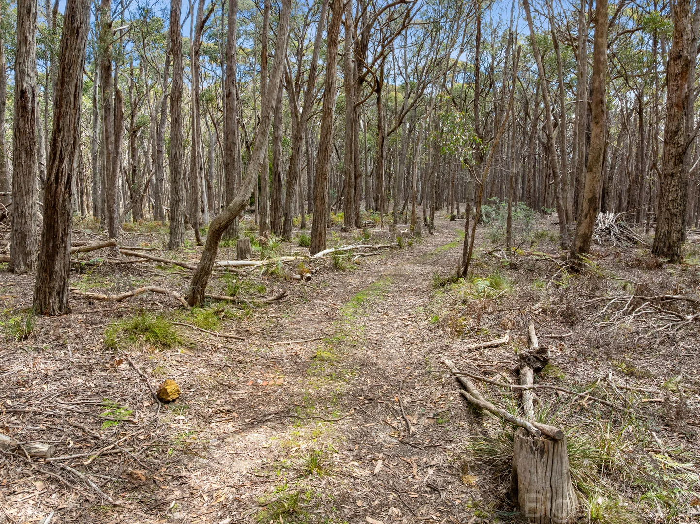 Additional image 11 of 184 Tori's Road, Glenlyon VIC 3461