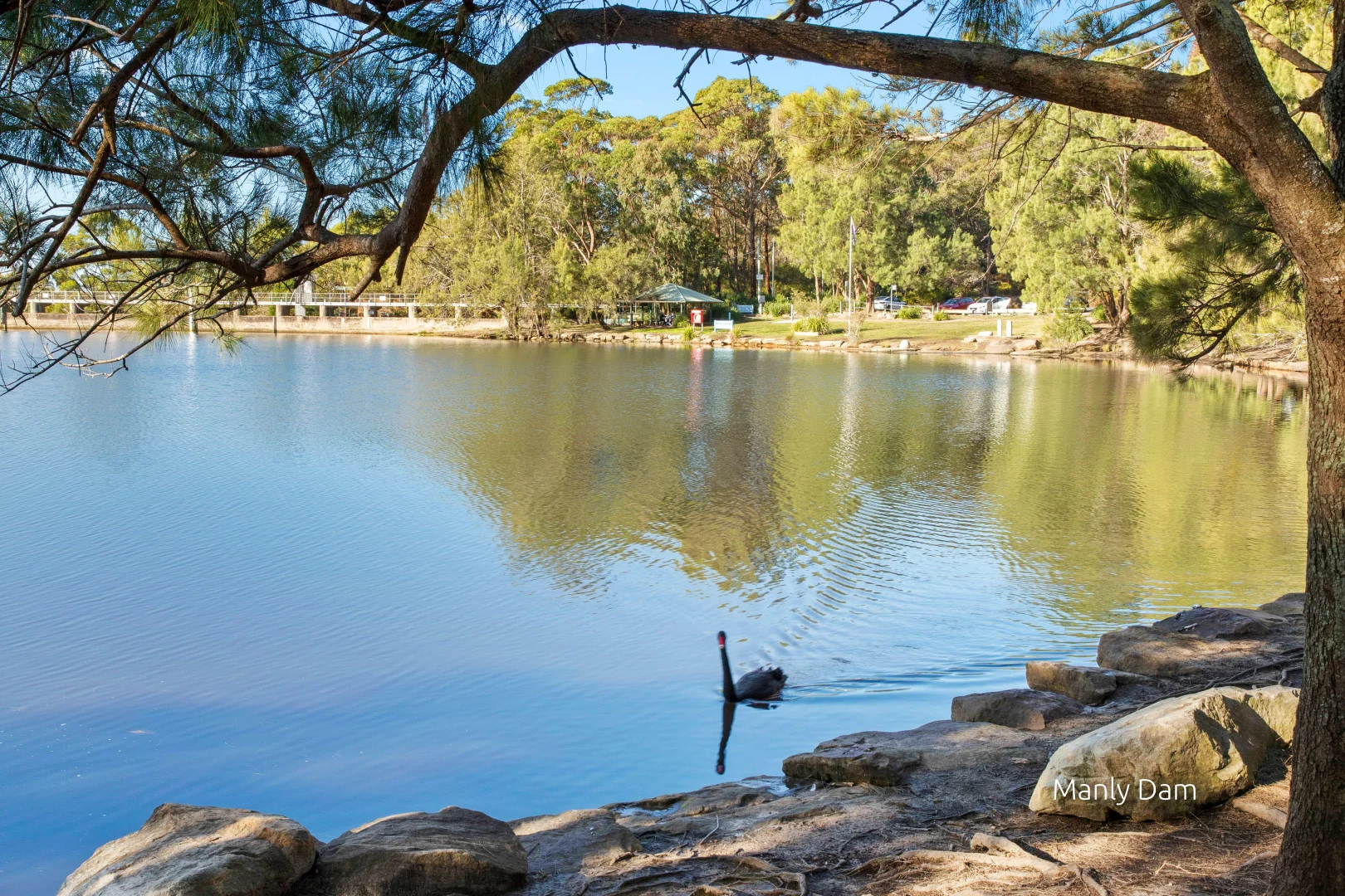 Additional image 14 of 29A Inglebar Ave, Allambie Heights NSW 2100