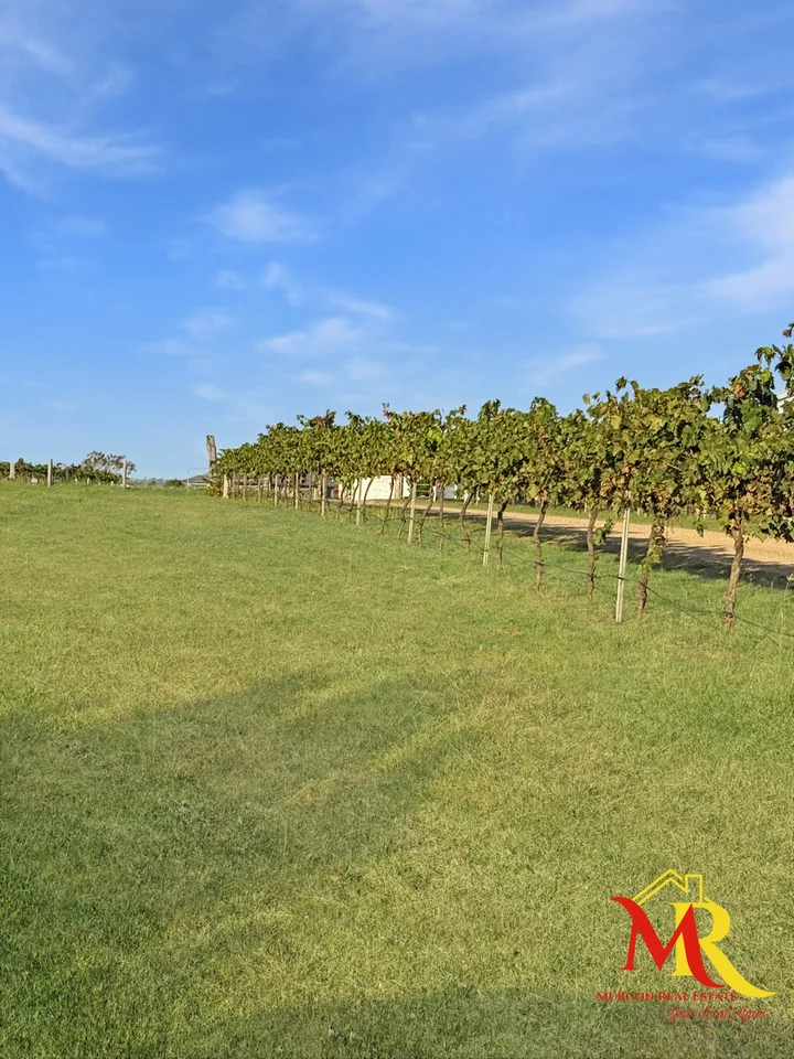 Additional image 4 of 16 Fork Hill Drive, Moffatdale QLD 4605