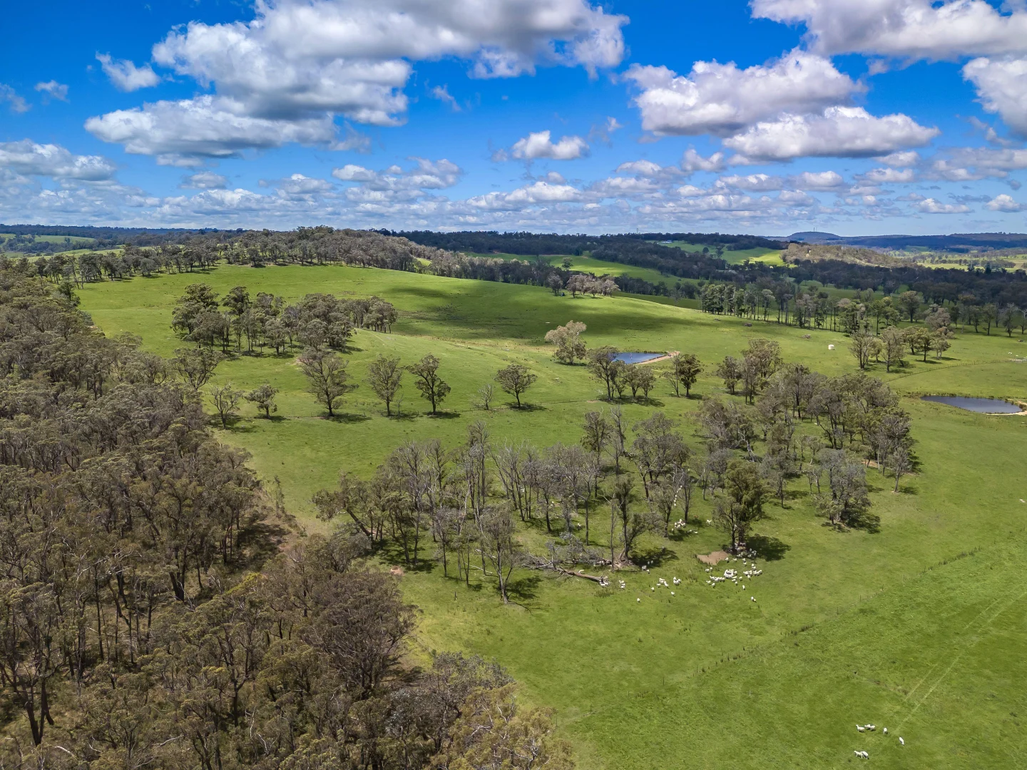 Additional image 24 of 1777 Canyonleigh Road, Canyonleigh NSW 2577