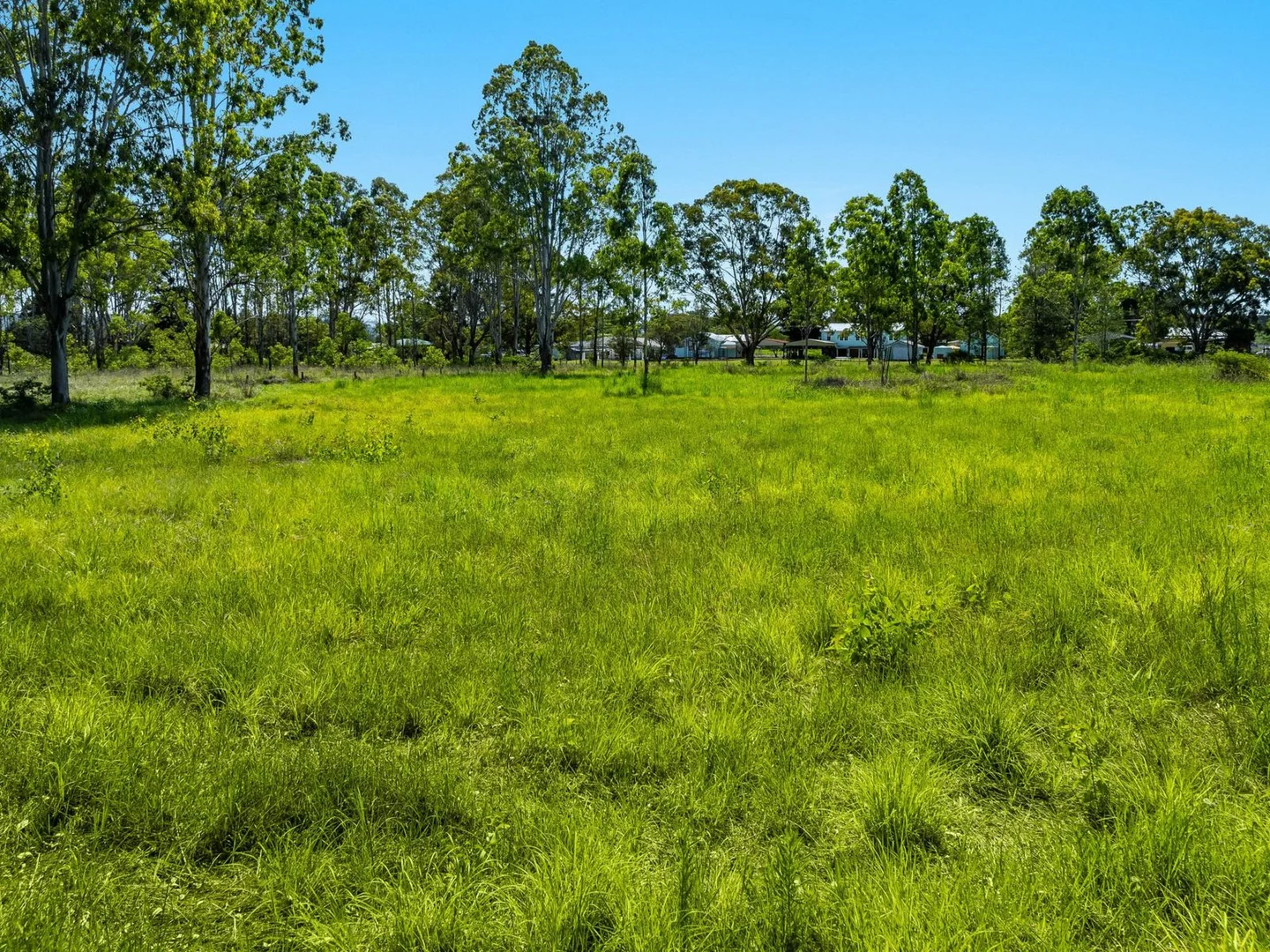 Additional image 6 of 8593 Bruxner Highway, Tabulam NSW 2469