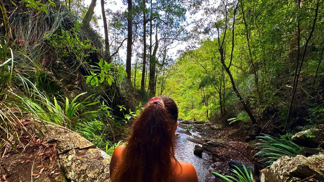 Additional image 15 of 373 Newton Drive, Nimbin NSW 2480