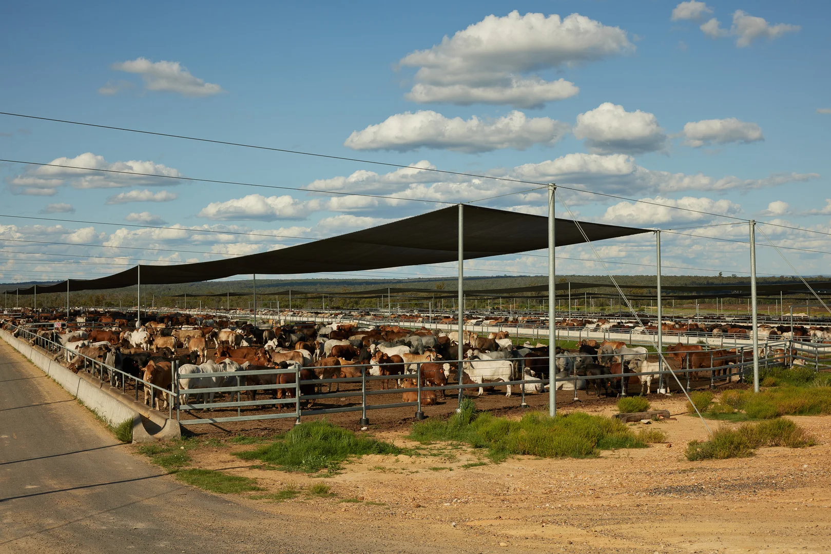 Additional image 6 of 91 Mort Street, Toowoomba City QLD 4350