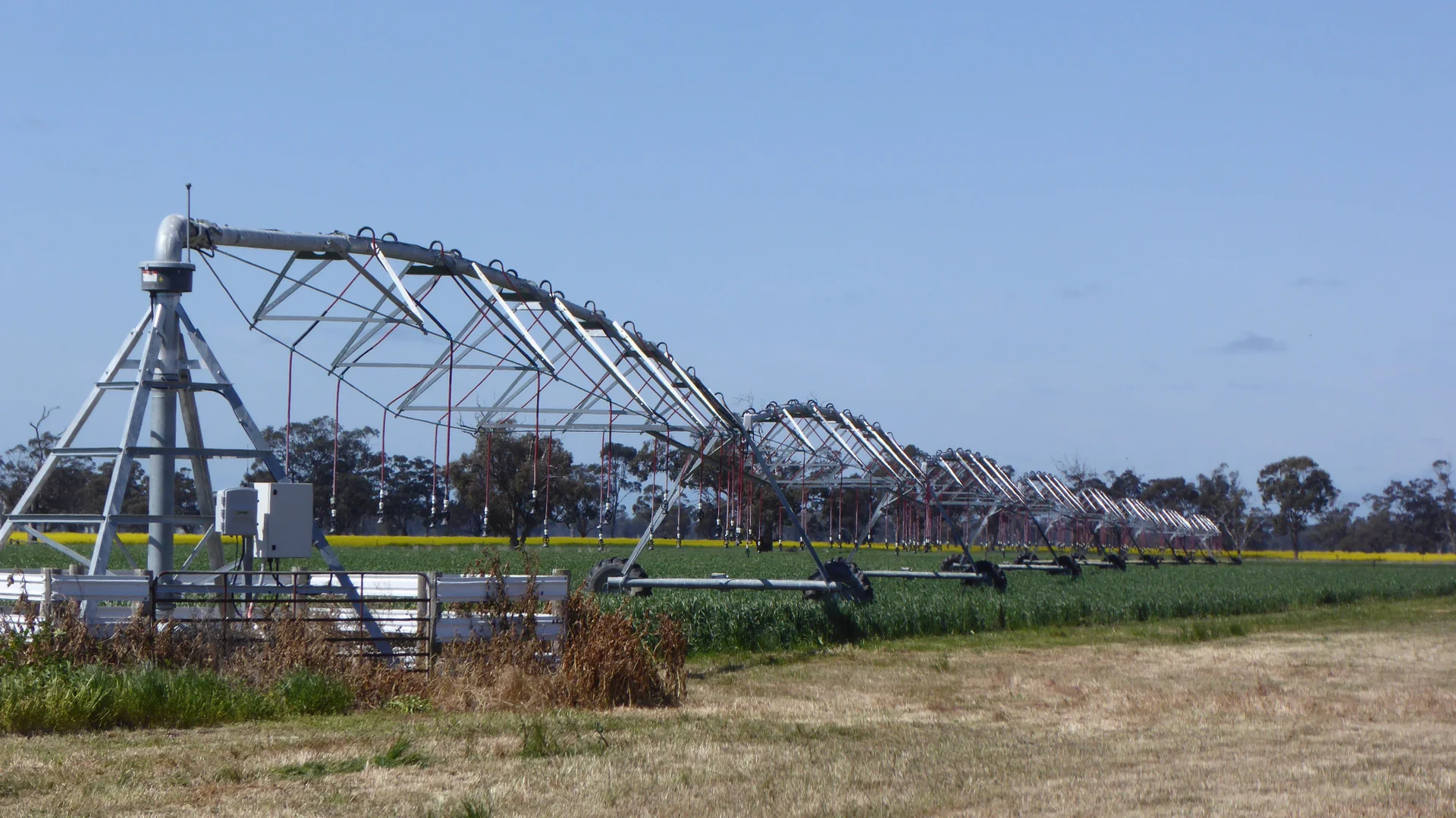 Additional image 18 of 139 Packer Road, Bordertown South SA 5268