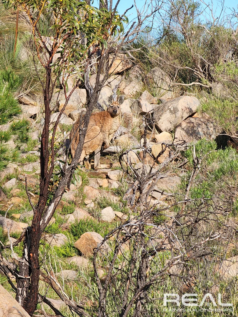 Additional image 36 of 1478 Randell Road, Palmer SA 5237