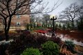 Additional image 8 of 81-11 45 Ave Unit 4O, Elmhurst, NY, 11373