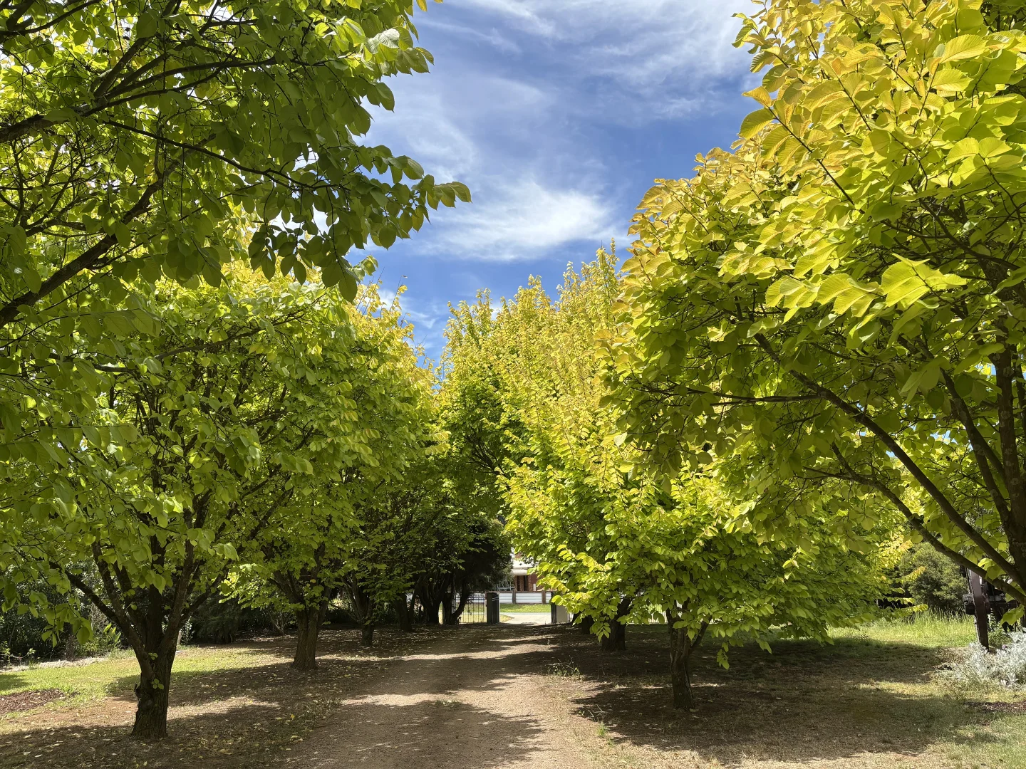 Additional image 8 of 64 Arcadia Downs Drive, Kialla VIC 3631