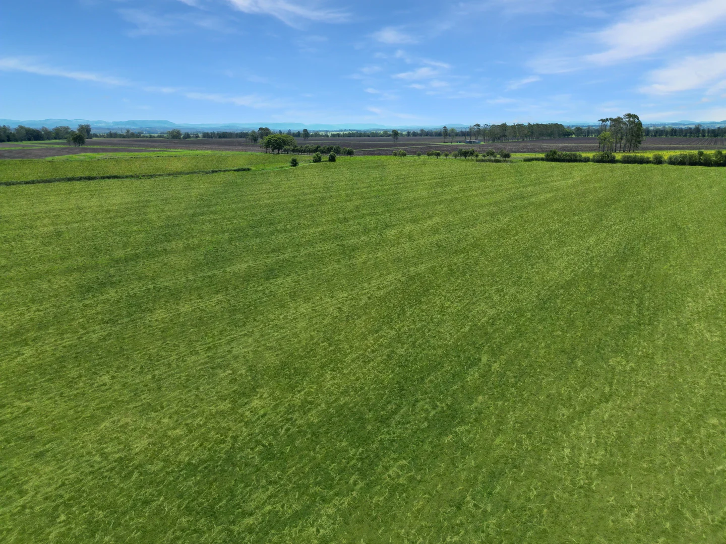 Additional image 7 of 80 Strongs Road, Fairy Hill NSW 2470