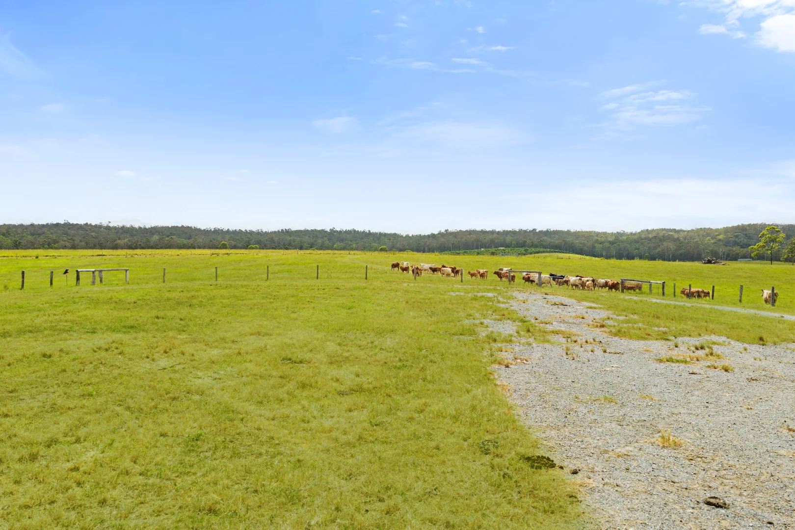 Additional image 10 of 1600 Anderleigh Road, Anderleigh QLD 4570