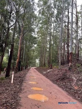 Additional image 4 of 46 Buckley Road, Carlotta WA 6275