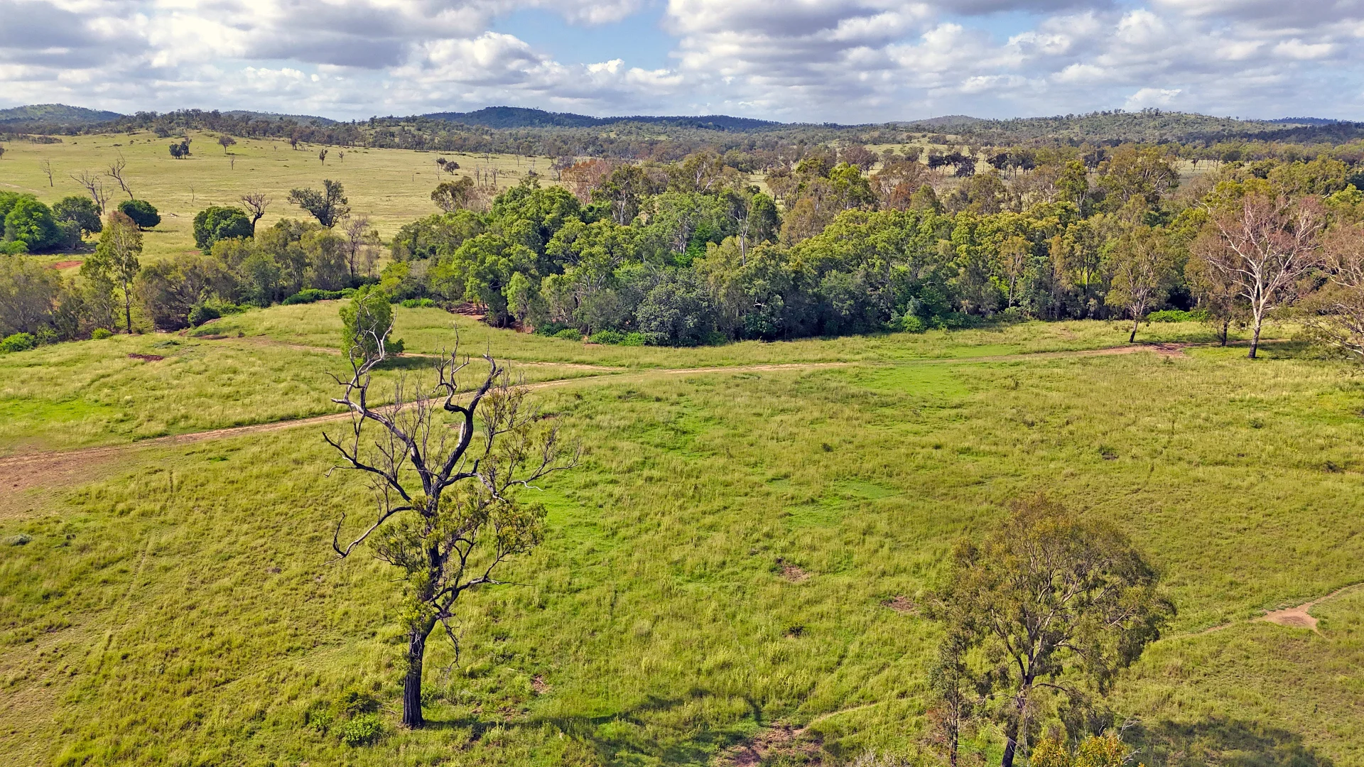 Additional image 4 of "Jacques " 0 Cunningham Road,, Nine Mile QLD 4702