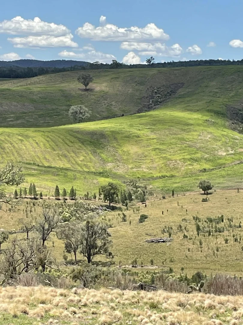 Additional image 2 of Lot 9 Silver Spur Redgate Road, Silver Spur QLD 4385