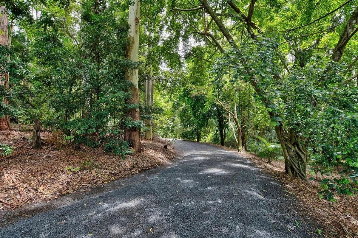 Additional image 20 of 106 Rose Road, Tuntable Creek NSW 2480