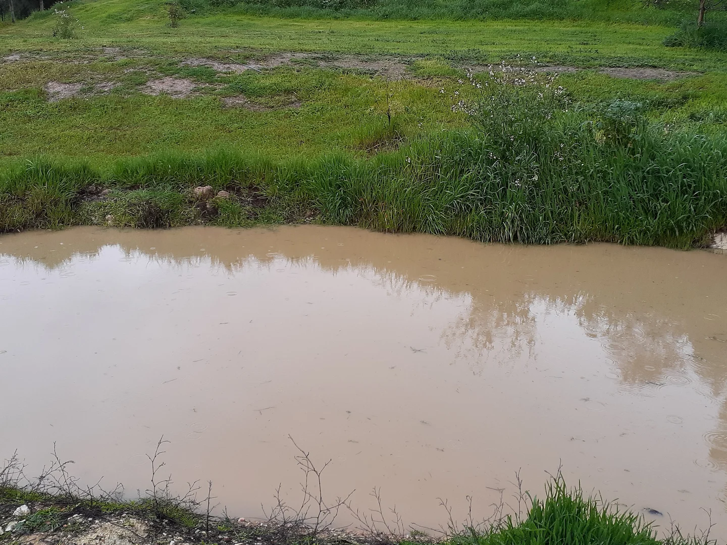 Additional image 19 of 57 Rohs Road, East Bendigo VIC 3550