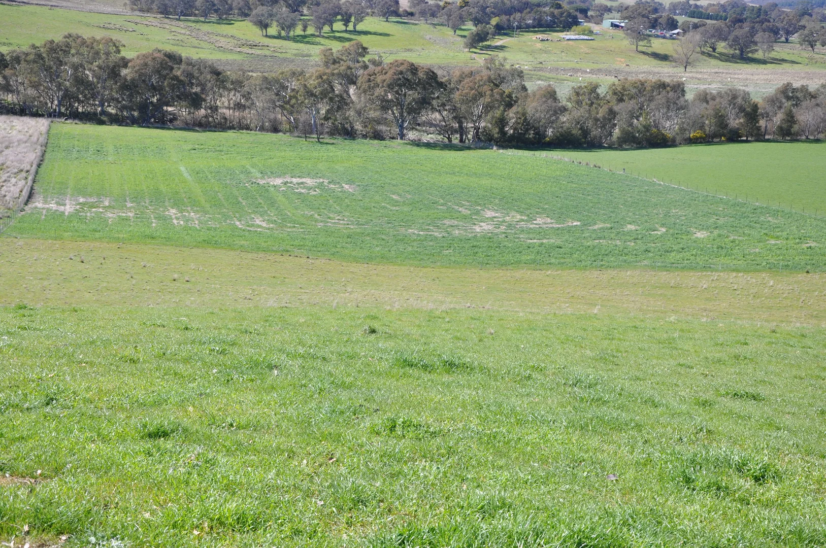 Additional image 5 of 111 Johnsons Road, Yass River NSW 2582