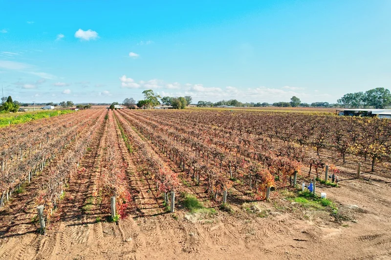 Additional image 16 of 232 Arnold Coats Road, Cobdogla SA 5346