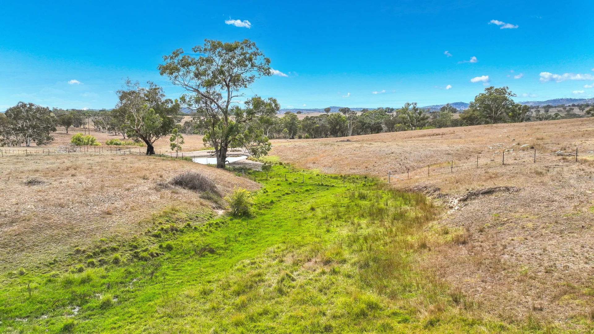 Additional image 19 of 6953 Halls Creek Road, Bendemeer NSW 2355