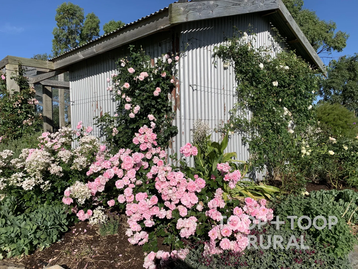 Additional image 36 of 70 Scottsburn Road, Woodside SA 5244