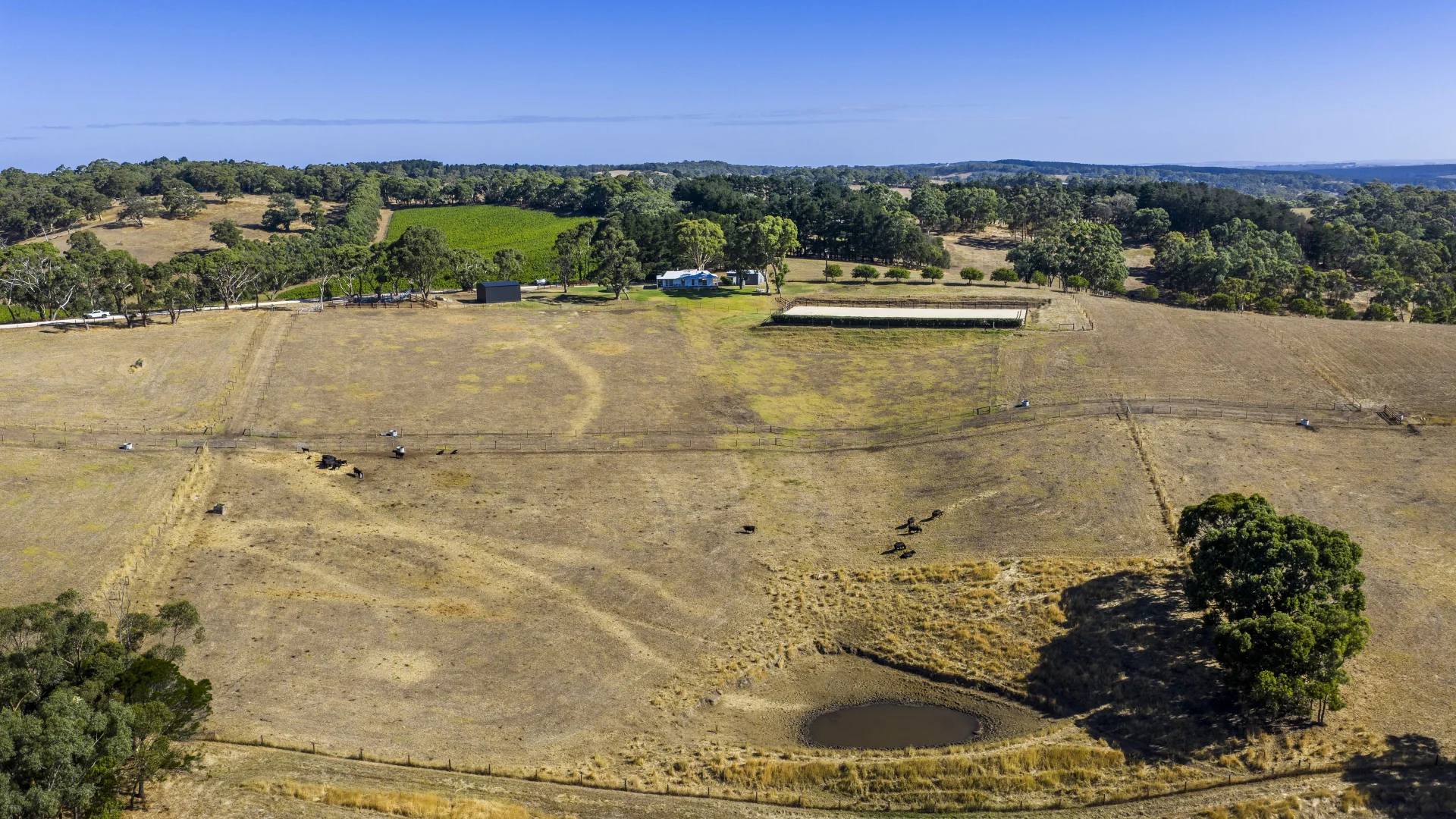 Additional image 70 of 224 Nicol Road, Meadows SA 5201