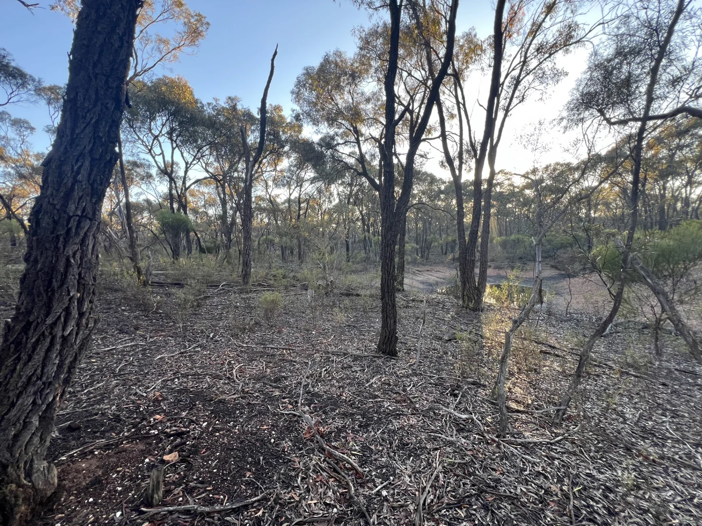 Additional image 6 of 373 Josephine Drive, Wedderburn VIC 3518