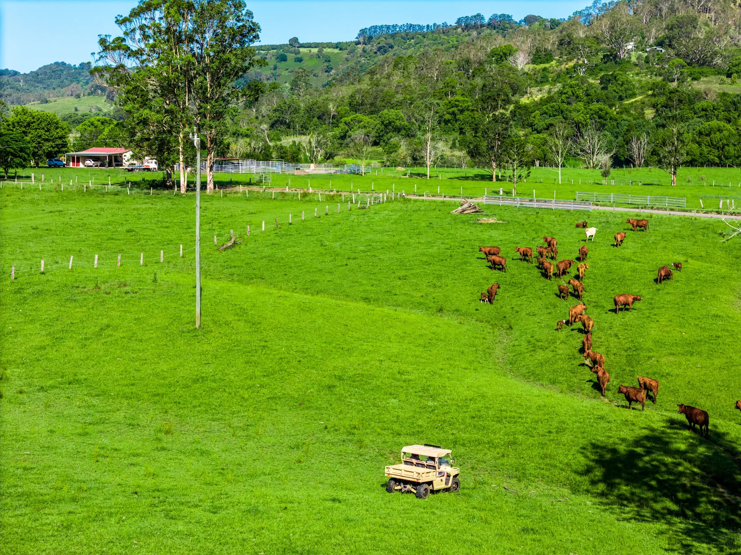 Additional image 40 of 952 Pinchin Road, The Channon NSW 2480