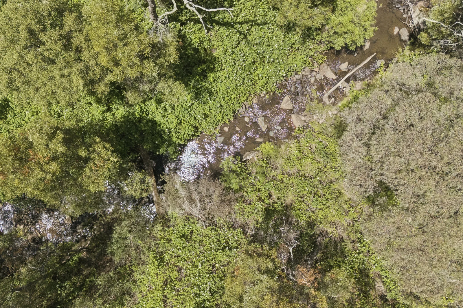 Additional image 25 of 321 Log Bridge Creek Road, Wee Jasper NSW 2582