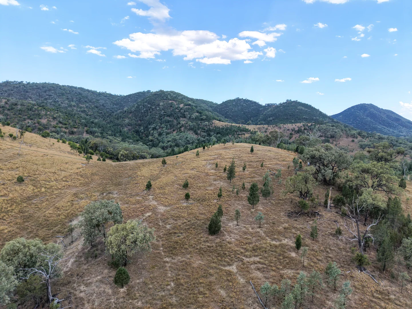 Additional image 23 of Lot 21 Gibraltar Road, Tenterfield NSW 2372
