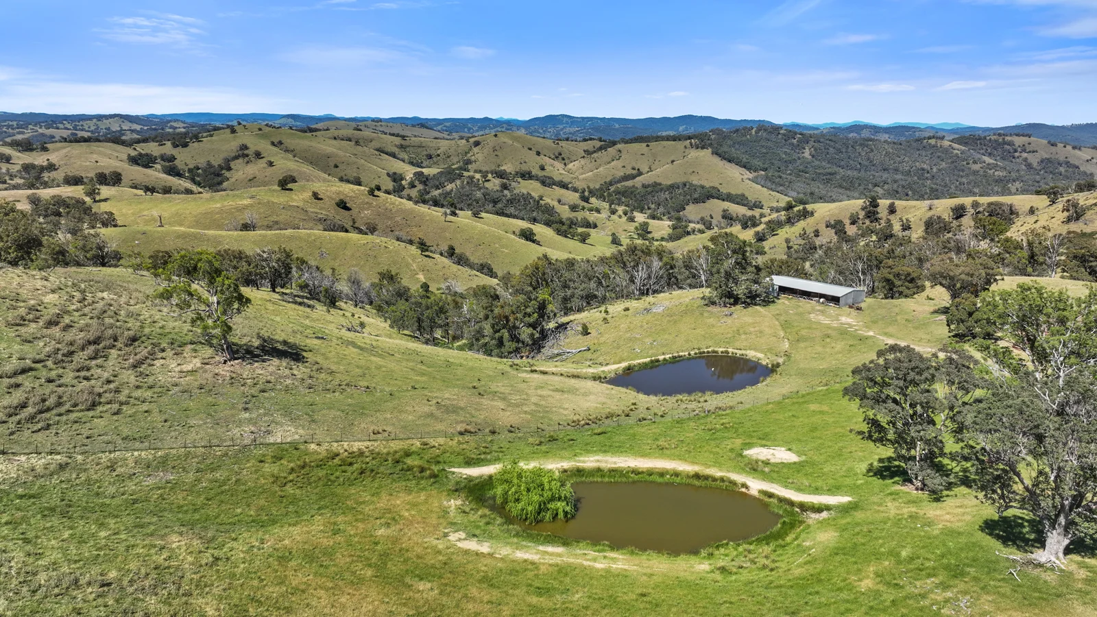 Additional image 9 of "Arawa" 2388 Campfire Road, Walcha NSW 2354
