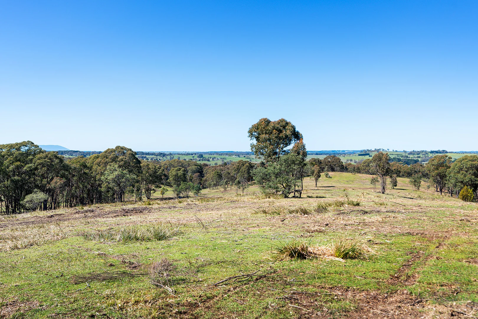 Additional image 8 of 255 Taradale Road, Drummond North VIC 3446