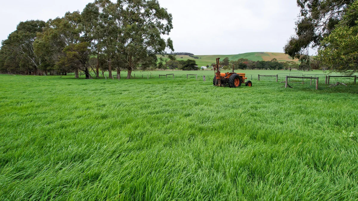 Additional image 16 of 649 Coleraine - Balmoral Road, Wootong Vale VIC 3315