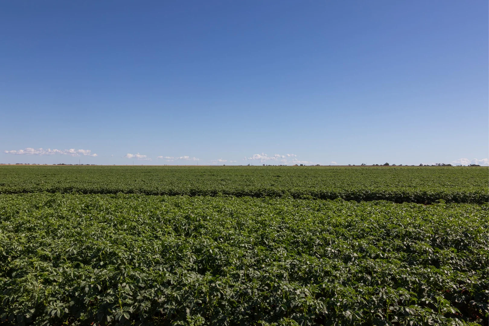 Additional image 8 of 12766 Kidman Way, Hillston NSW 2675