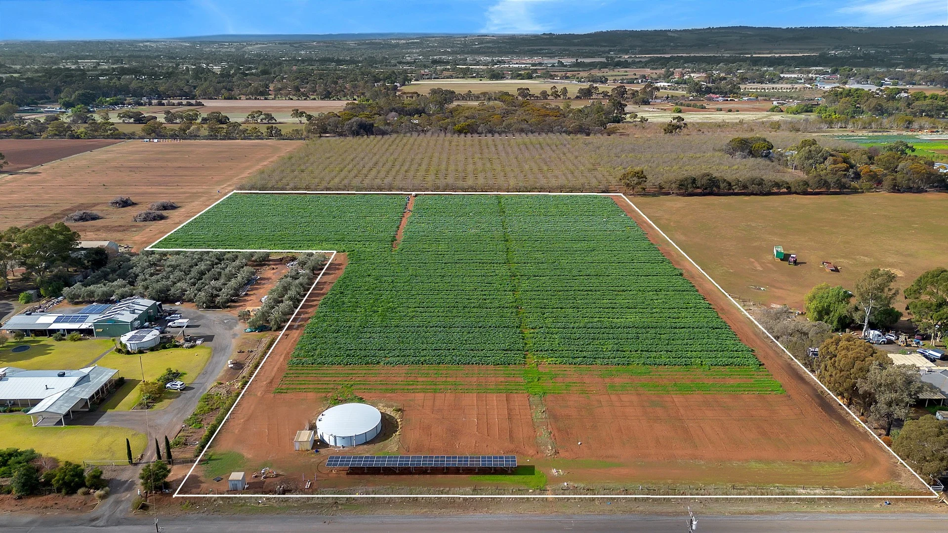 77 Wingate Road, Hillier SA 5116