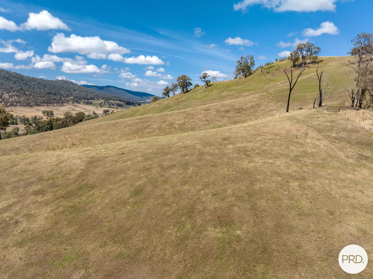 Additional image 72 of 1100 Batlow Road, Tumbarumba NSW 2653