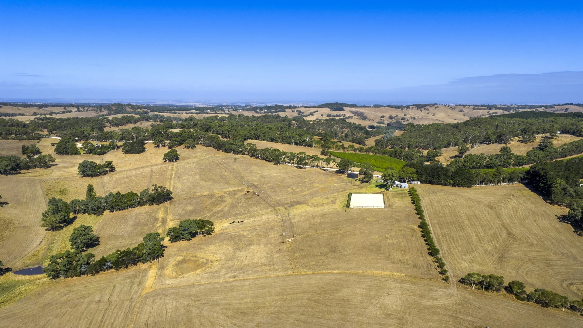 Additional image 79 of 224 Nicol Road, Meadows SA 5201