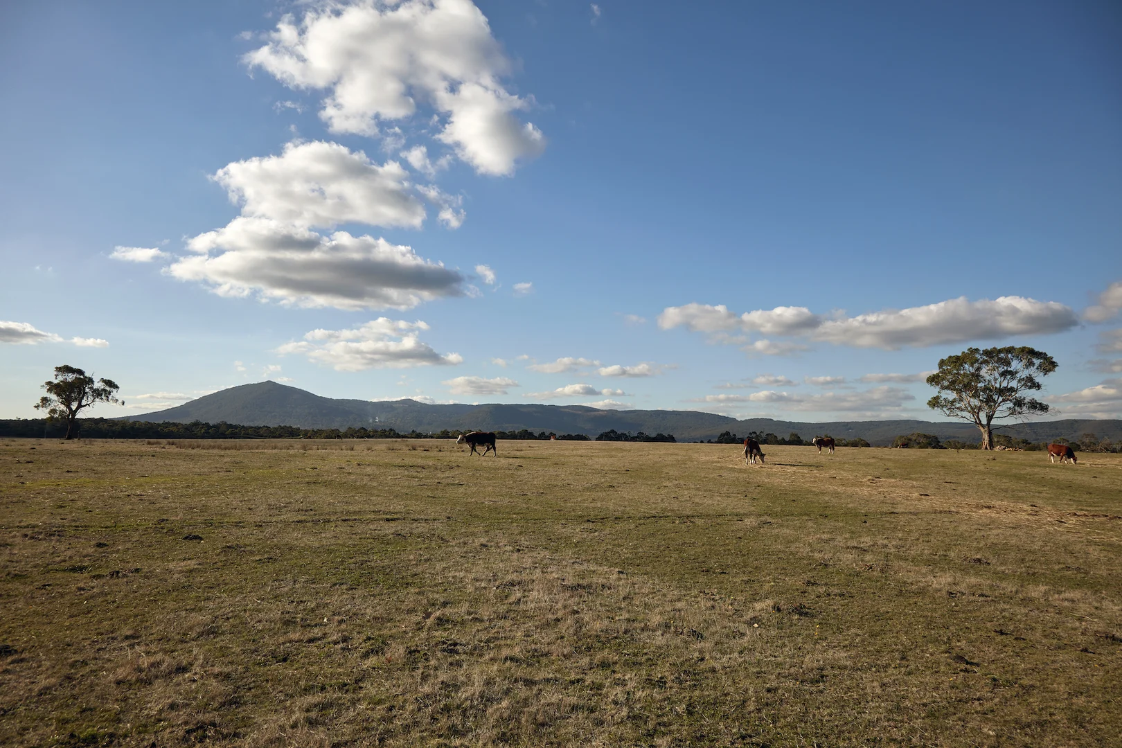 Additional image 2 of 65 Lawson Road, Gisborne VIC 3437