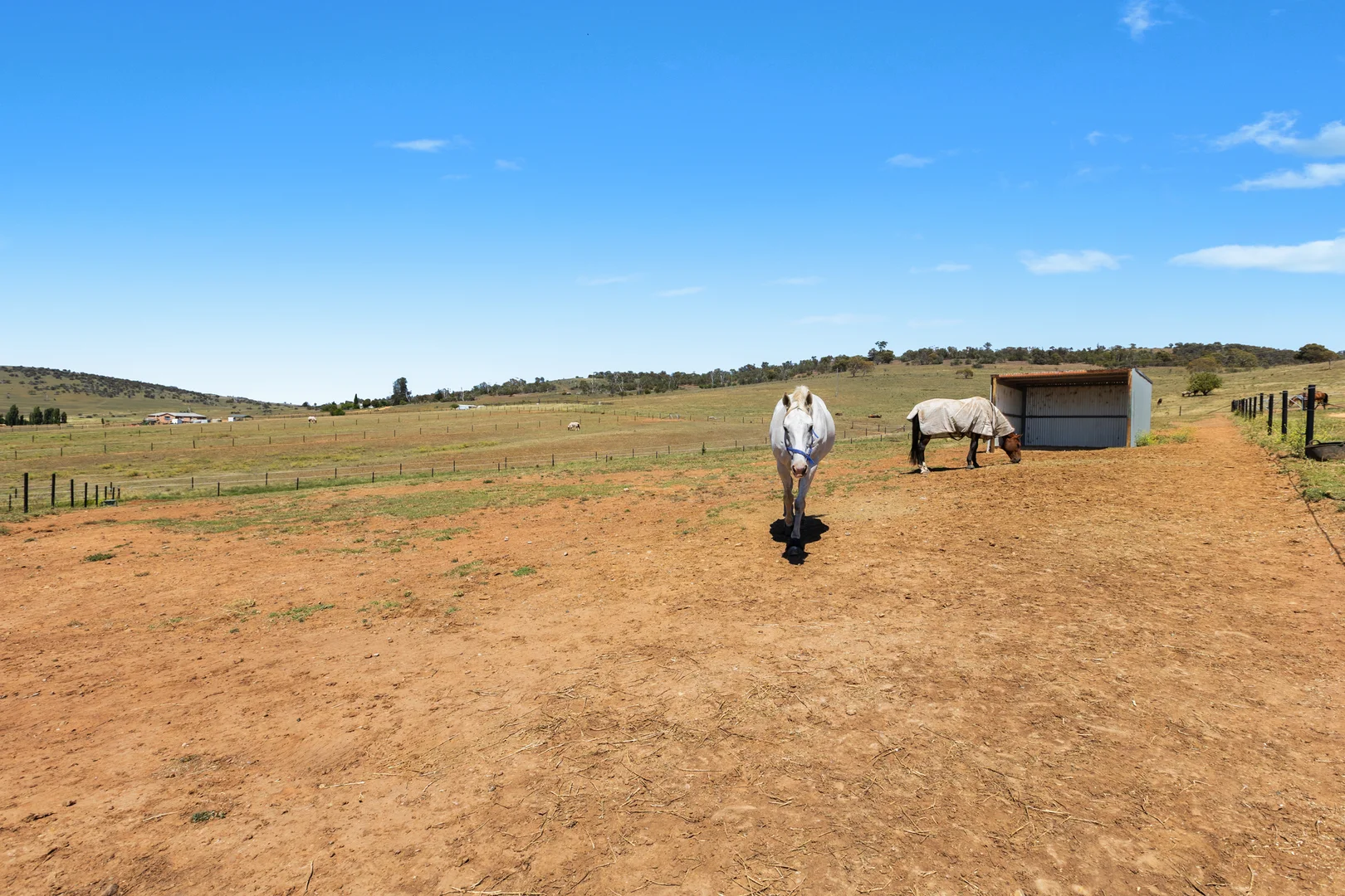 Additional image 19 of 12 Jindalee Street, Berridale NSW 2628