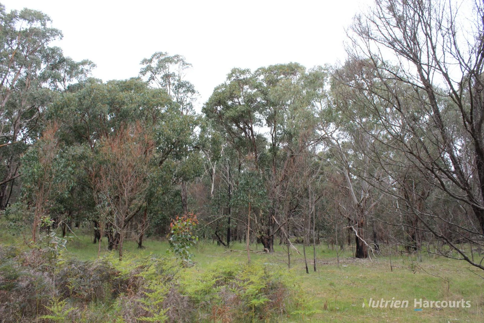 Additional image 6 of . Youngs Road, Baynton VIC 3444